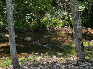 Escape to your own private riverside retreat with this - photo 18