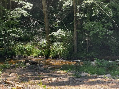 Escape to your own private riverside retreat with this - photo 19