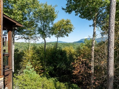 Charming Mountain Cabin with stunning Mountain Views. Centrally - photo 32