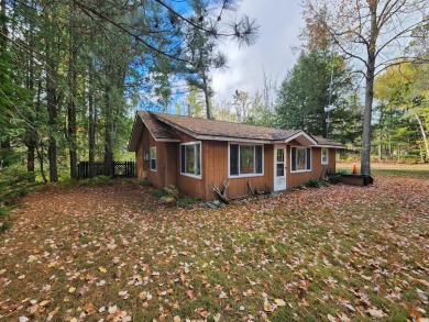 Shishebogama Lake Home For Sale in Minocqua Wisconsin