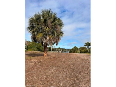 Port Charlotte Waterway Area Lot For Sale in Port Charlotte Florida