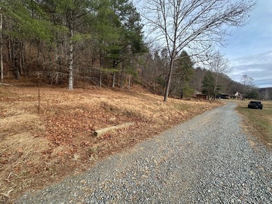 NEW RIVER waterfront land for sale ~ 10.69 acres, buildable - photo 3