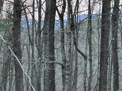 NEW RIVER waterfront land for sale ~ 10.69 acres, buildable - photo 5