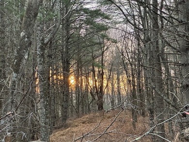 NEW RIVER waterfront land for sale ~ 10.69 acres, buildable - photo 6