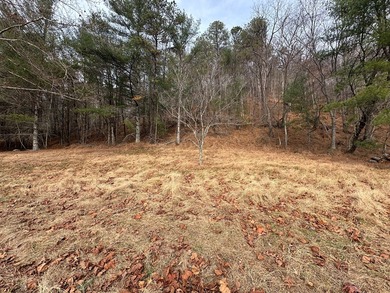 NEW RIVER waterfront land for sale ~ 10.69 acres, buildable - photo 7
