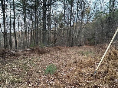 NEW RIVER waterfront land for sale ~ 10.69 acres, buildable - photo 8