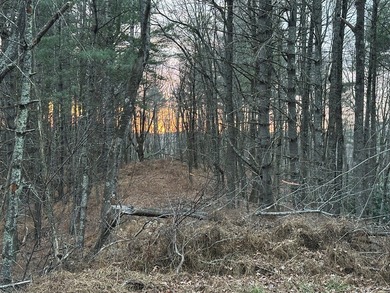NEW RIVER waterfront land for sale ~ 10.69 acres, buildable - photo 10