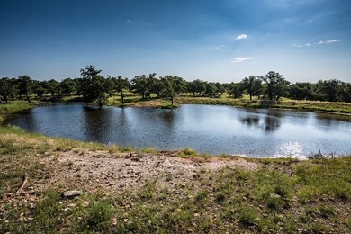 Discover an exceptional opportunity to own 125 pristine acres - photo 2