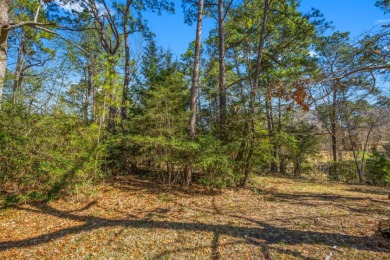 Waterfront Lot in Gated Lake Livingston Community. - photo 16