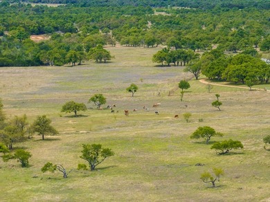 Discover an exceptional opportunity to own 125 pristine acres - photo 6