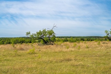 Discover an exceptional opportunity to own 125 pristine acres - photo 8