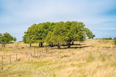 Discover an exceptional opportunity to own 125 pristine acres - photo 10