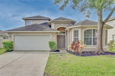 Lake Home For Sale in Land O Lakes, Florida