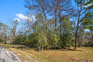 Waterfront Lot in Gated Lake Livingston Community. - photo 3