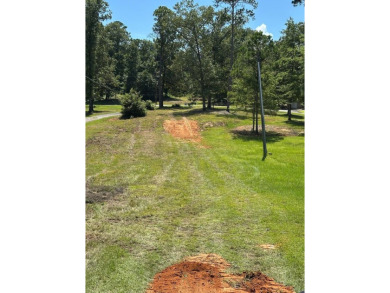 Lake Lot For Sale in Abbeville, Alabama