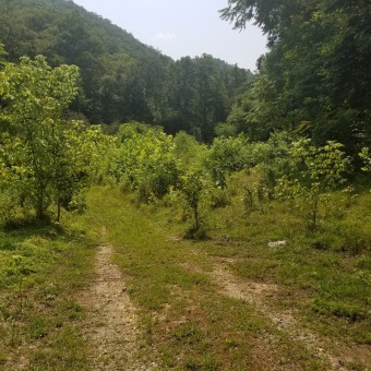 Lake Lot Off Market in Clay, West Virginia