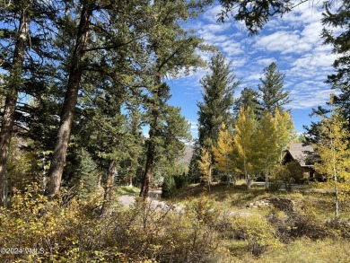 This Cordillera homesite offers a great opportunity to build - photo 11