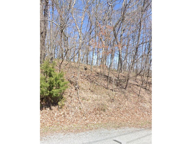 UNRESTRICTED LAND! Here are 5.16 (+/-) acres boasting abundant - photo 2