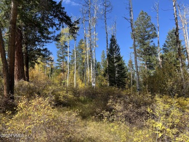 This Cordillera homesite offers a great opportunity to build - photo 13
