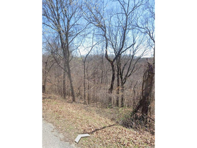 UNRESTRICTED LAND! Here are 5.16 (+/-) acres boasting abundant - photo 6