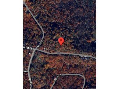 UNRESTRICTED LAND! Here are 5.16 (+/-) acres boasting abundant - photo 7