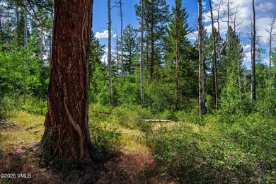 This Cordillera homesite offers a great opportunity to build - photo 18