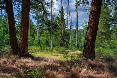 This Cordillera homesite offers a great opportunity to build - photo 19