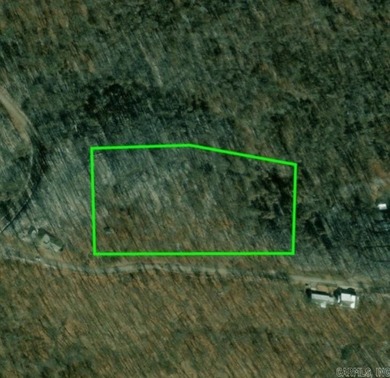 UNRESTRICTED LAND! Here are 5.16 (+/-) acres boasting abundant - photo 10