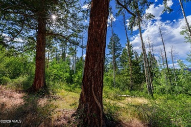 This Cordillera homesite offers a great opportunity to build - photo 20