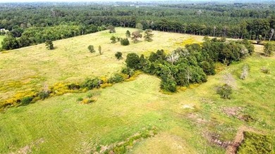 (private lake, pond, creek) Acreage For Sale in Kirbyville Texas
