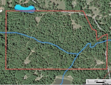 East Texas rural land for sale in Smith County. 74.586 acres of - photo 2
