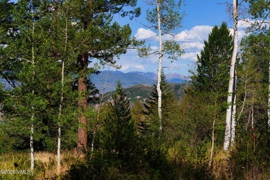This Cordillera homesite offers a great opportunity to build - photo 23