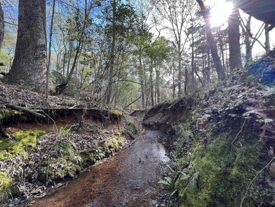 East Texas rural land for sale in Smith County. 74.586 acres of - photo 4