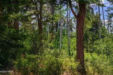 This Cordillera homesite offers a great opportunity to build - photo 24