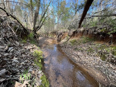 East Texas rural land for sale in Smith County. 74.586 acres of - photo 5