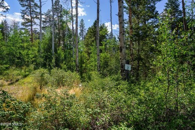 This Cordillera homesite offers a great opportunity to build - photo 25