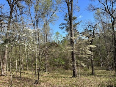 East Texas rural land for sale in Smith County. 74.586 acres of - photo 6