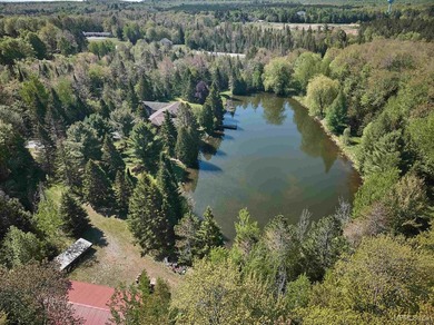 Privacy abounds on this exceptional 11+ acre property featuring - photo 26