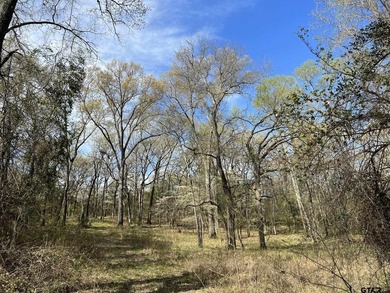 East Texas rural land for sale in Smith County. 74.586 acres of - photo 7