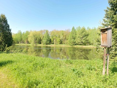 Privacy abounds on this exceptional 11+ acre property featuring - photo 27