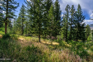 This Cordillera homesite offers a great opportunity to build - photo 27
