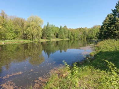 Privacy abounds on this exceptional 11+ acre property featuring - photo 28