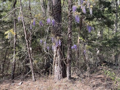 East Texas rural land for sale in Smith County. 74.586 acres of - photo 9