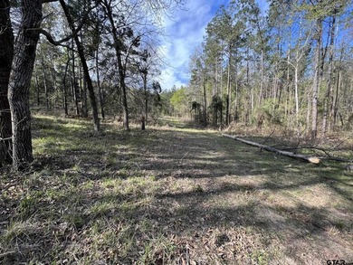 East Texas rural land for sale in Smith County. 74.586 acres of - photo 10