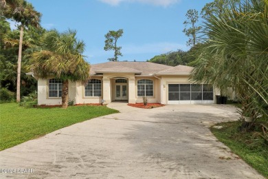 (private lake, pond, creek) Home Sale Pending in Palm Coast Florida