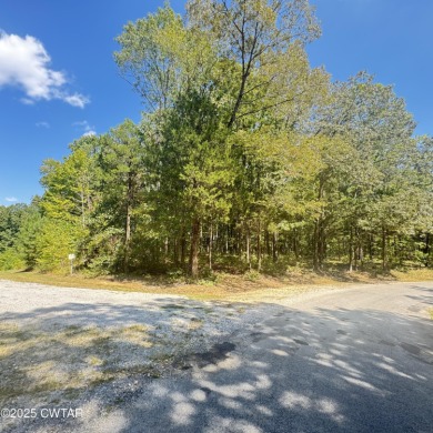 Indian Lake Lot For Sale in Cedar Grove Tennessee