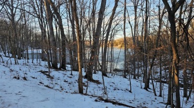 Lake Lot For Sale in Lake Sherwood, Missouri