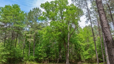 Exceptional Northeast Texas ranch featuring rolling elevation - photo 13