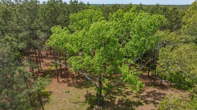 Exceptional Northeast Texas ranch featuring rolling elevation - photo 14