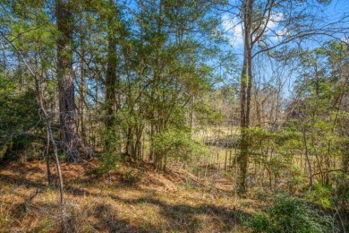 Waterfront Lot in Gated Lake Livingston Community. - photo 17